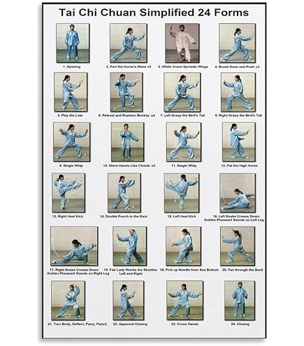 Amazon.com: Tai Chi Chuan 24 Forms Poster 24in x36in: Prints